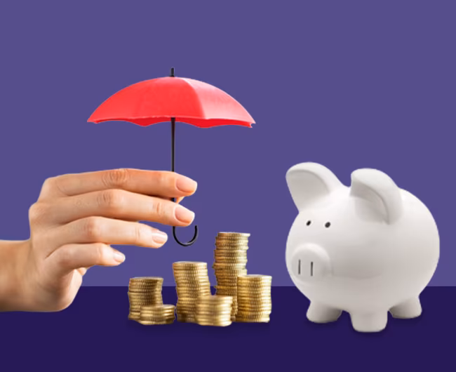 10 Safe Investments with High Returns in India 2024