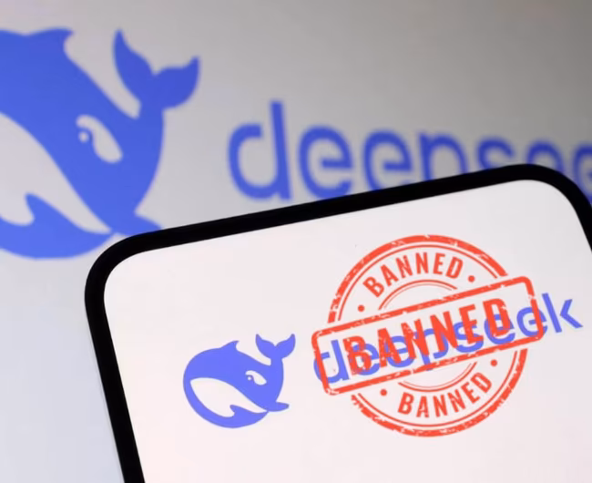 Why is DeepSeek Facing a Ban in Several Countries?