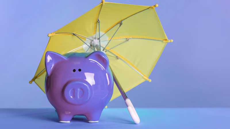 What is the Role of Insurance in Financial Security (2024)