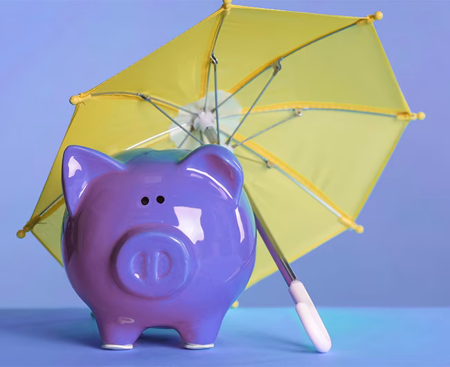 What is the Role of Insurance in Financial Security (2024)